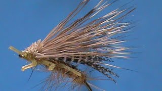Beginner Fly Tying a Lively Legz Golden Stone with Jim Misiura