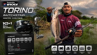 Download lagu Not Just Any Old Thing IROLY TORINO DC Proven in Wild Spot 1-Day Test Field mp3 Download lagu Not Just Any Old Thing IROLY TORINO DC Proven in Wild Spot 1-Day Test Field mp3