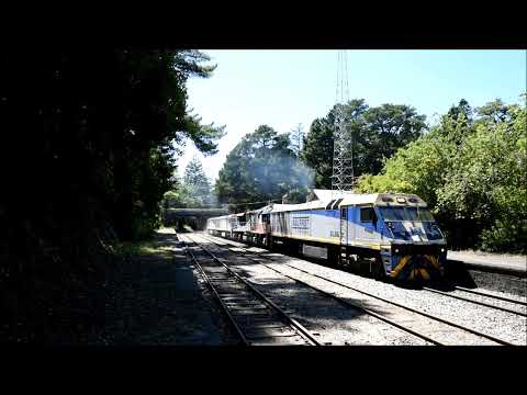 SCT Logistics 5MP9  4 RailFirst  EL's and a SCT EL56 SCT006 EL55 EL62 EL60 14th January 2022