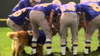 air bud Golden Receiver trailer