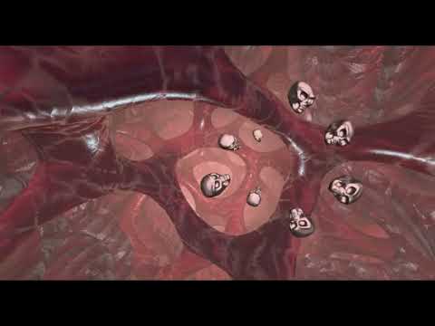 Сode Pandorum Chosen mix