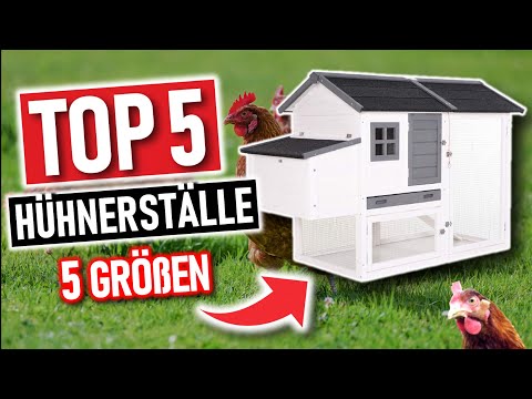Die besten HÜHNERSTÄLLE 2026 | Top 5 Hühnerställe, Hühnerstall Test
