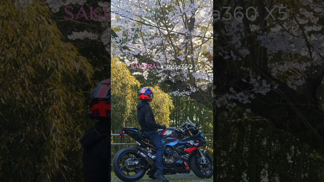 春の桜を4つの視点で走る。【Insta360 X5】#バイク #ツーリング #桜#Insta360 #X5 #モトブログ#春ツーリング #バイク動画