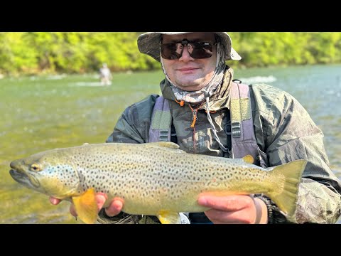 Dunajec the best river in Poland!