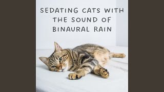 Dreamy Catnap Tempest