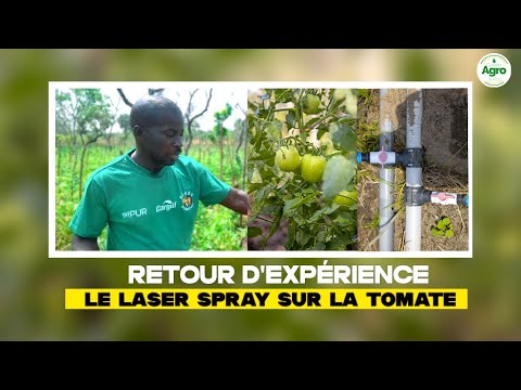 Témoignage M. Assika Jean