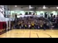 Academy MOV