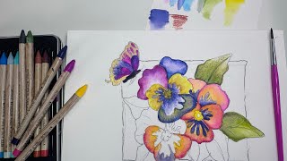 Painting Pansies Simple BEGINNER Ways that look PRO with WATERCOLOR PENCILS