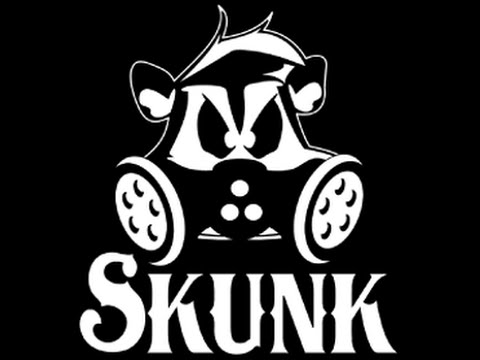 DJ SKunK Stole the show 2015