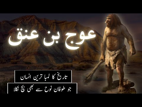 Auj bin anak history in Urdu | History of world's tallest man | Auj bin anaq | Amber Voice |