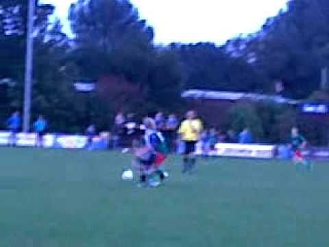 Pelikaan D2 - de Alblas D1