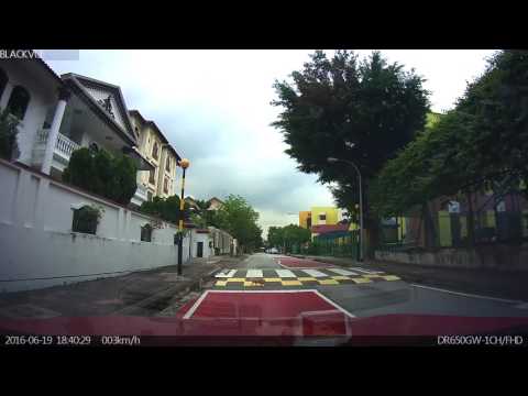 A cat sitting at Seraya Road