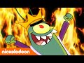 Koraalkamp | Het ontstaan van de kwaadaardige Plankton | Nickelodeon Nederlands