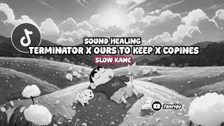 Download lagu Sound Healing!! DJ Terminator X Ours To Keep X Copines Slow Kane mp3