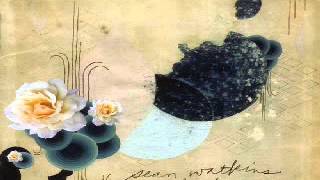 Sean Watkins - Whipping Boy