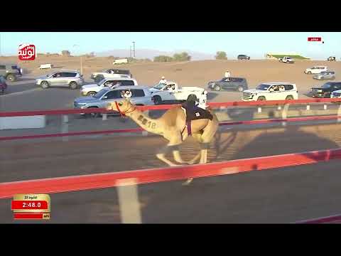 ش 22 (لطام) لـ حمدان حمود السدير الوهيبي 2:57:60 ، شارة العقود 2026/05/23 السوان