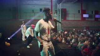 Tellaman - Dandy Performance