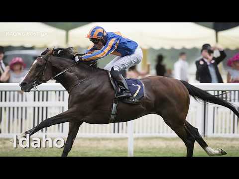 Kevin Buckley on Coolmore's Dubai World Cup meeting contenders