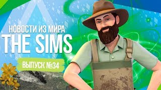НОВОСТИ ИЗ МИРА THE SIMS - ЕЩЁ ОДНО ОБНОВЛЕНИЕ? / КОНЕЦ THE SIMS 2!