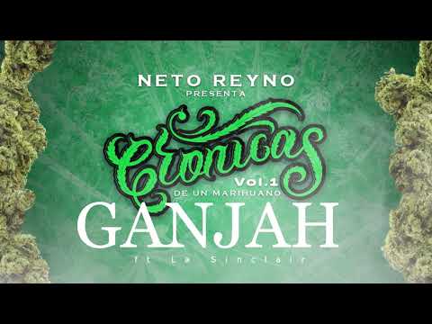 Neto Reyno - Crónicas de un Marihuano - track -.2 GANJAH ft  La Sinclair 💨