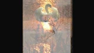 A Princess by Javier Navarrete