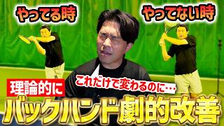 【バックハンド徹底解説】バックハンドが安定しない原因は絶対これ！理論的に考えるだけで確実に安定します〈ぬいさんぽテニス（Tennis）〉