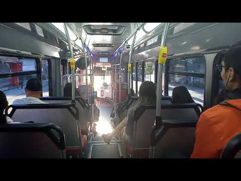 Punchbowl Bus Company - 8090 - Scania K320UB/Custom Endeavour[Hannans Road](943 - Luguano)