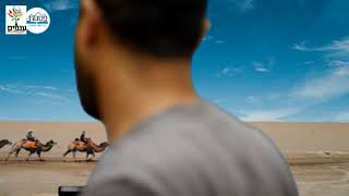 הרב יהודה יוספי - פרשת חיי שרה | למה זכה אליעזר להכנס חי לגן עדן ?  שידור חי מפ"ת (ארגון ענפים) - התמונה מוצגת ישירות מתוך אתר האינטרנט יוטיוב. זכויות היוצרים בתמונה שייכות ליוצרה. קישור קרדיט למקור התוכן נמצא בתוך דף הסרטון