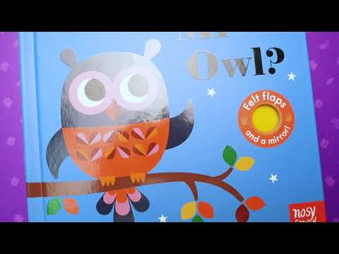 Книга Where's Mr Owl? video 1