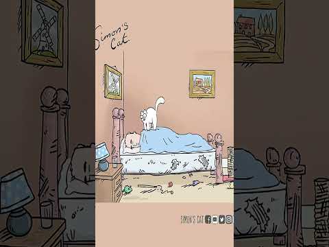 Celebrating 15 Years of Cat Man Do! 😻 | Simon's Cat Anniversary Special