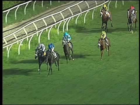 Galoppo 06/07/2016 - 5° corsa