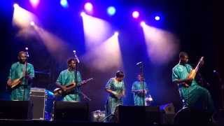 BASSEKOU KOUYATÉ & NGONI BA / Live /samedi 22 mars 2014 , Stains