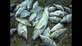 Рыбалка в мурачевке жиздринского района форум