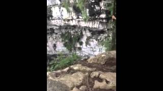 sotano de las golondrinas