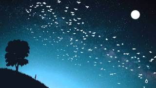 A Heavy Heart - Anthony Greninger