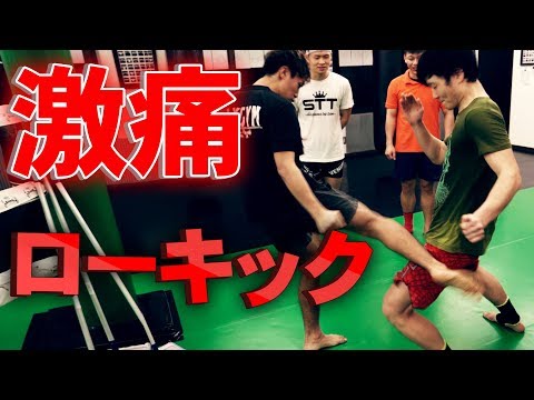 【激痛】ローキックを生で受けたらどれくらい痛いか検証してみた！【VLOG シリーズ 2019】