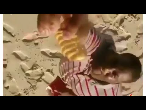 Went to Chick-fil-A and ordered fries￼ song by Spice Adams