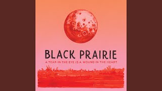 For the Love of John Hartford