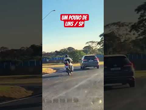 Um pouco de Lins SP