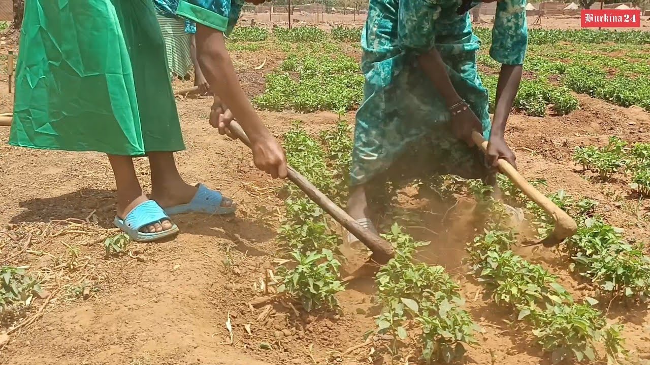 Dans l'Oubri (au Burkina Faso), une synergie d'actions change des vies