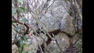 preview picture of video 'Circolo megalitico di Monte Còcchero (isola d'Elba)'