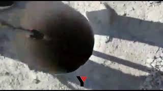 Yüksekova Belediyesinin İtfaiye Ekipleri 5 Yavru Köpeğin Hayatını kurtardı