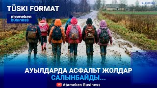 Асфальт қымбат, қиыршық арзан. Үкімет жолдардан қанша қаржы үнемдейді? 