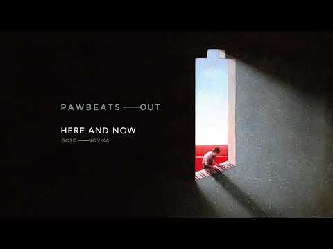 Pawbeats ft. Novika - Here and now (OUT album)