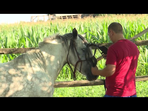 Vajdasági Futam –  Topolya