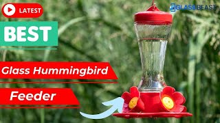Best Glass Hummingbird Feeder 2022 | Pick Best Glass Humming