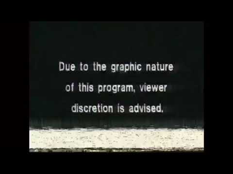 Vezoo - Edenake (freestyle🦅)