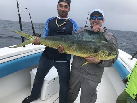 download lagu mp3 mp4 Palm Beach Fishing Charters, download lagu Palm Beach Fishing Charters gratis, unduh video klip Palm Beach Fishing Charters