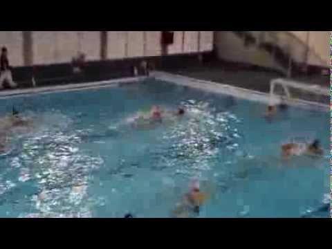 WP Infantil Concepción / Latina