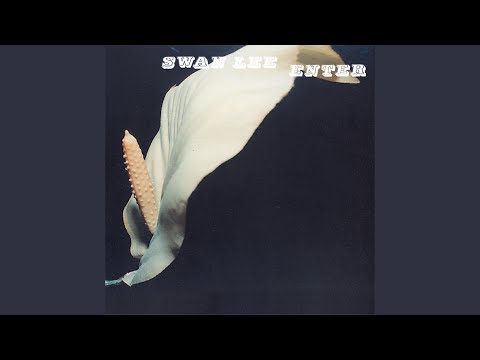 Walk With Me - Swan Lee